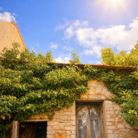  Annonces FRONTIGNAN : House | BOUZIGUES (34140) | 70 m2 | 265 000 &euro; 