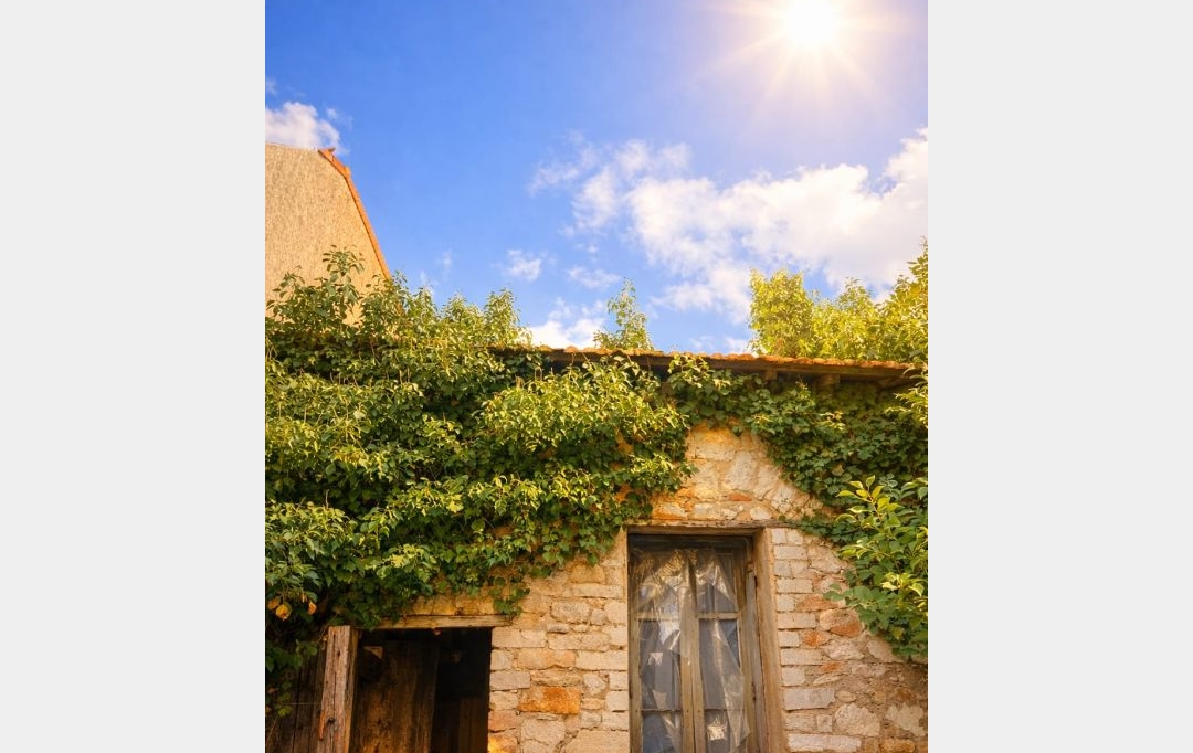Annonces FRONTIGNAN : House | BOUZIGUES (34140) | 70 m2 | 265 000 &euro; 
