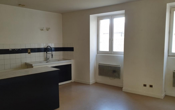 Agence ANJ immobilier : Appartement | ROMANS-SUR-ISERE (26100) | 100 m2 | 85 000 € 