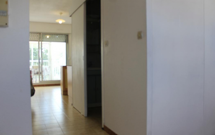 Agence ANJ immobilier : Appartement | BALARUC-LES-BAINS (34540) | 28 m2 | 124 000 € 